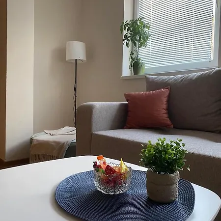 D Free Private Parking Fast Wi-fi Apartment Novi Sad